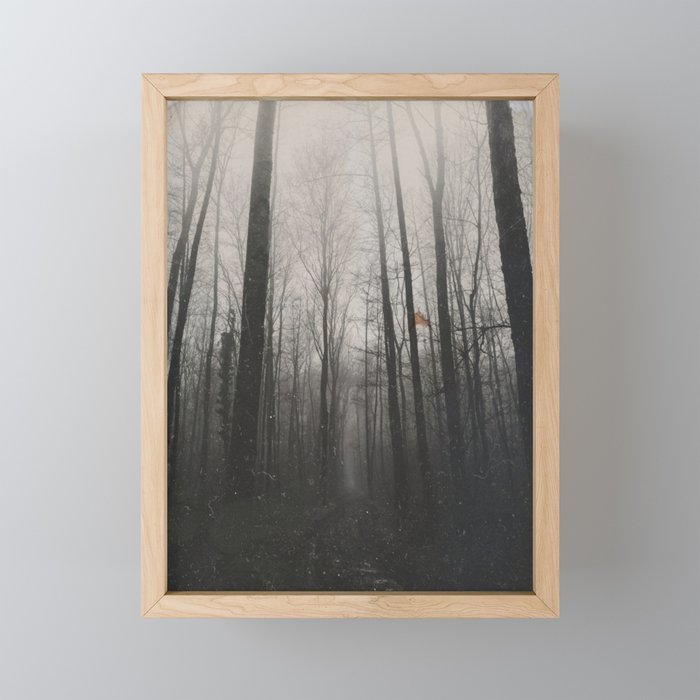 INTO THE WILD XIV Mini Art Print Gallery Image 1