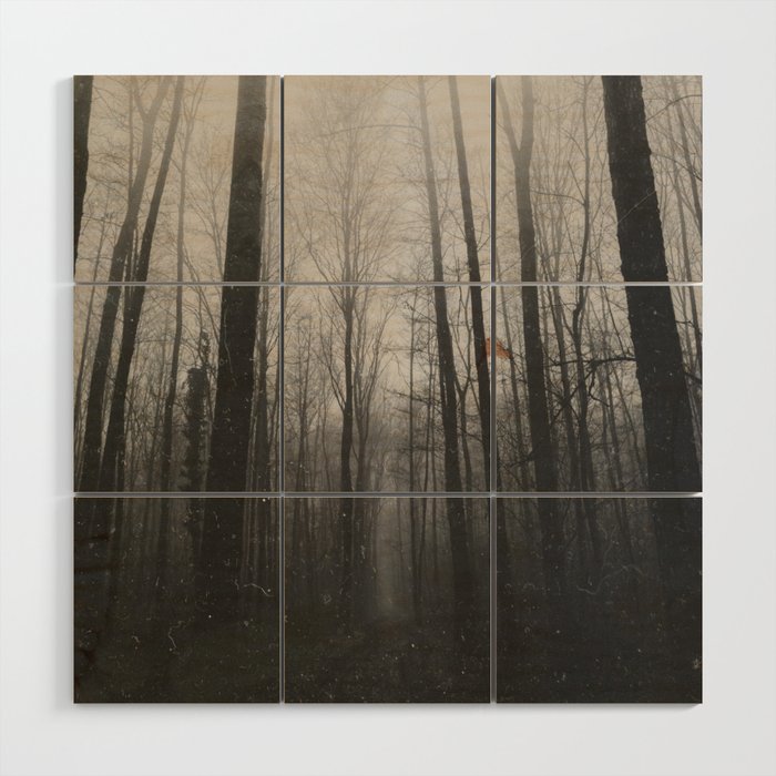 INTO THE WILD XIV Wood Wall Art Gallery Image 1