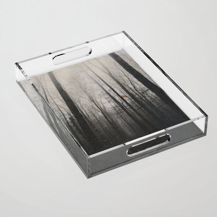 INTO THE WILD XIV Acrylic Tray Gallery Image 1