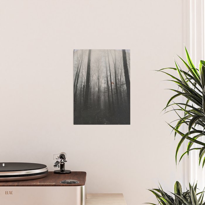 INTO THE WILD XIV Poster Gallery Image 2