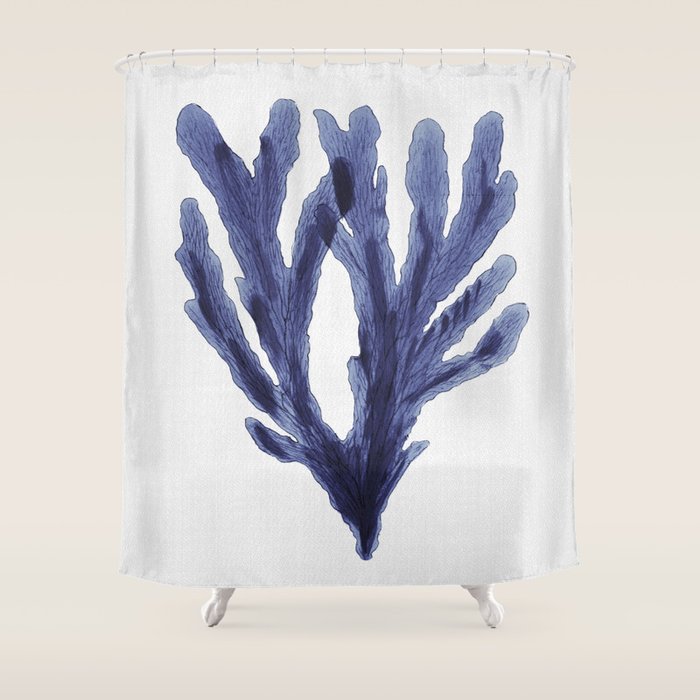 Seaweed 6 Shower Curtain Gallery Image 1