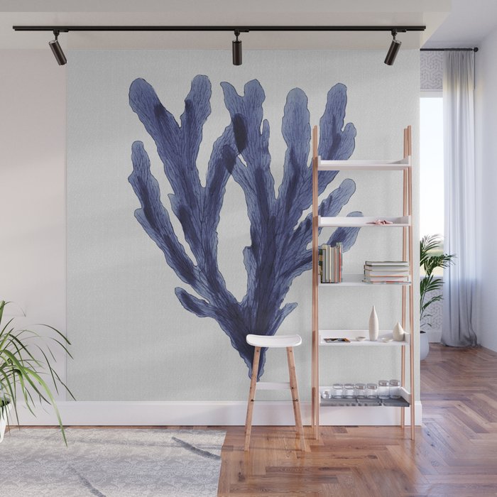 Seaweed 6 Wall Mural Gallery Image 1