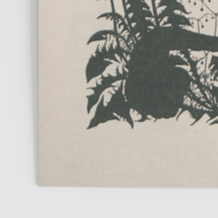 Nouveau Nature Poster Gallery Image 3
