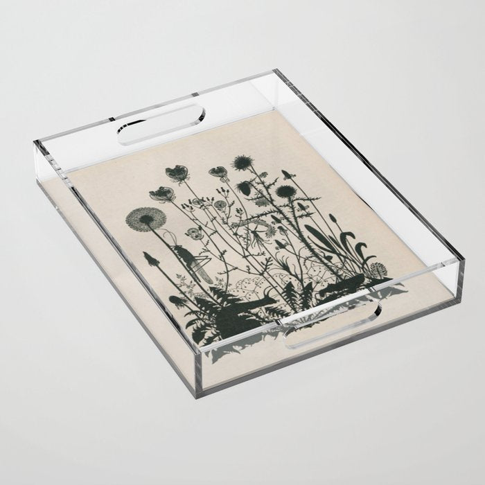 Nouveau Nature Acrylic Tray Gallery Image 1