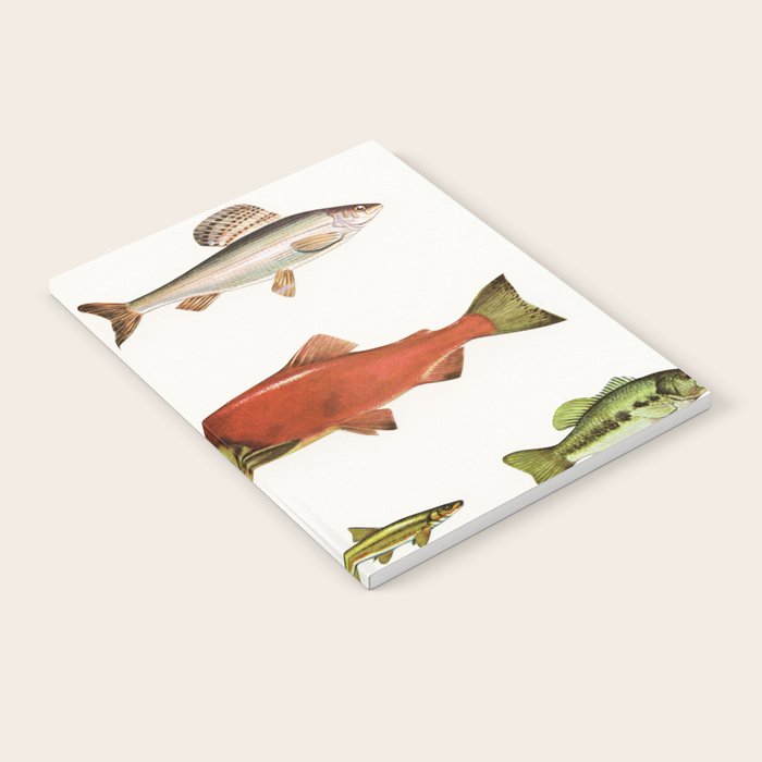 Fishing Line Notebook Gallery Image 2