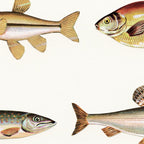 Fishing Line Coffee Mug Gallery Image 2