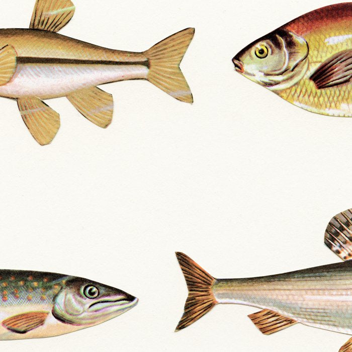 Fishing Line Coffee Mug Gallery Image 2