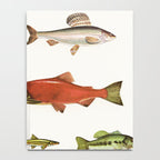Fishing Line Notebook Gallery Image 4