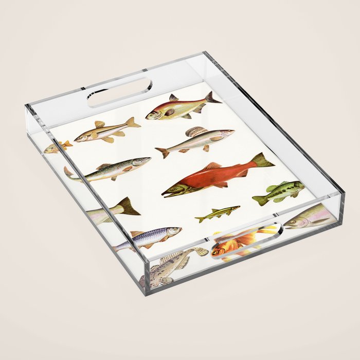 Fishing Line Acrylic Tray Gallery Image 1