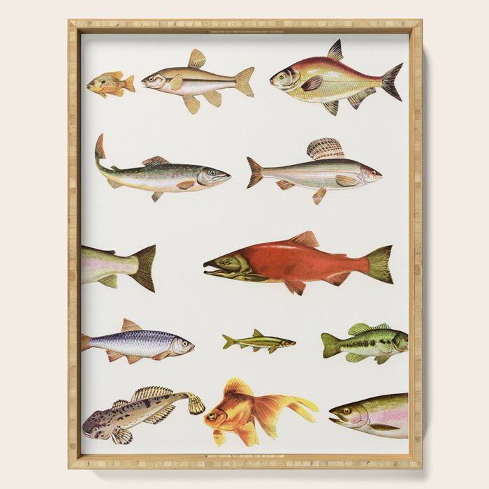 Fishing Line Serving Tray Gallery Image 1