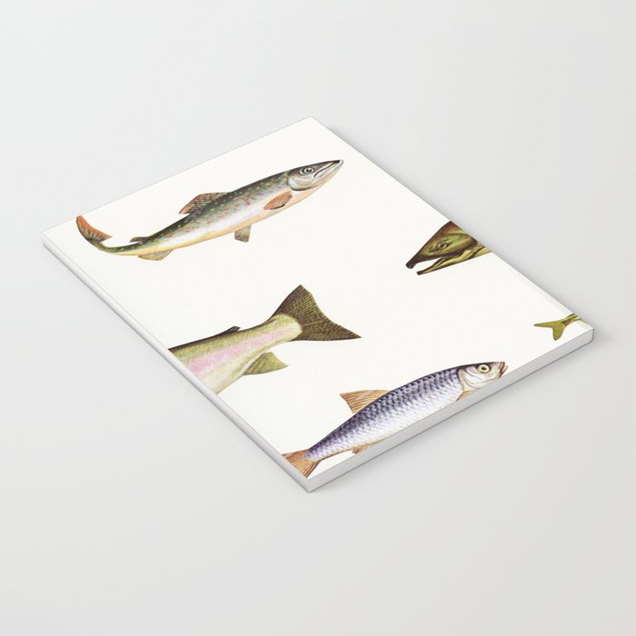 Fishing Line Notebook Gallery Image 3