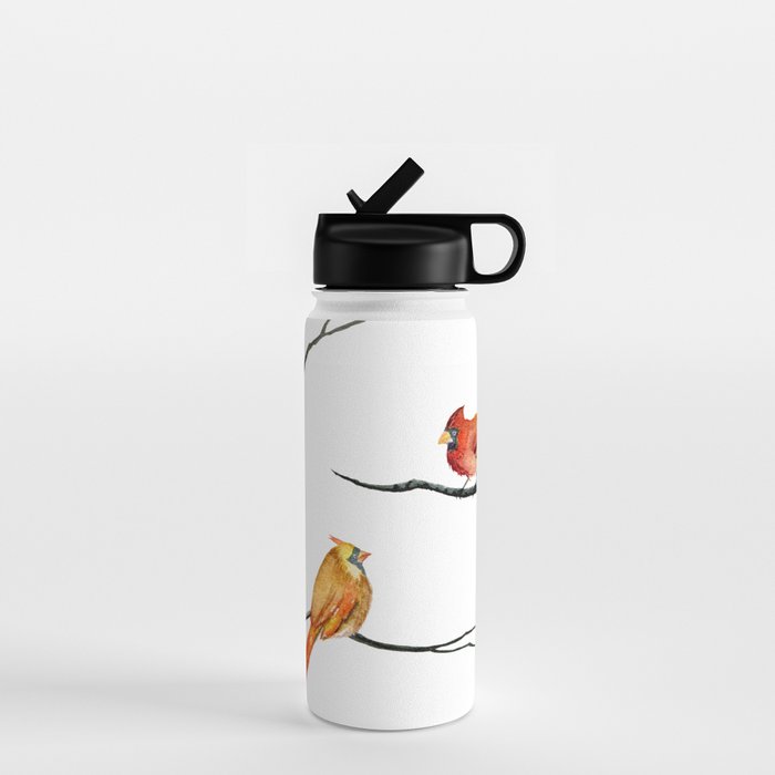 Cardinal Couple in Birch Trees Water Bottle Gallery Image 1