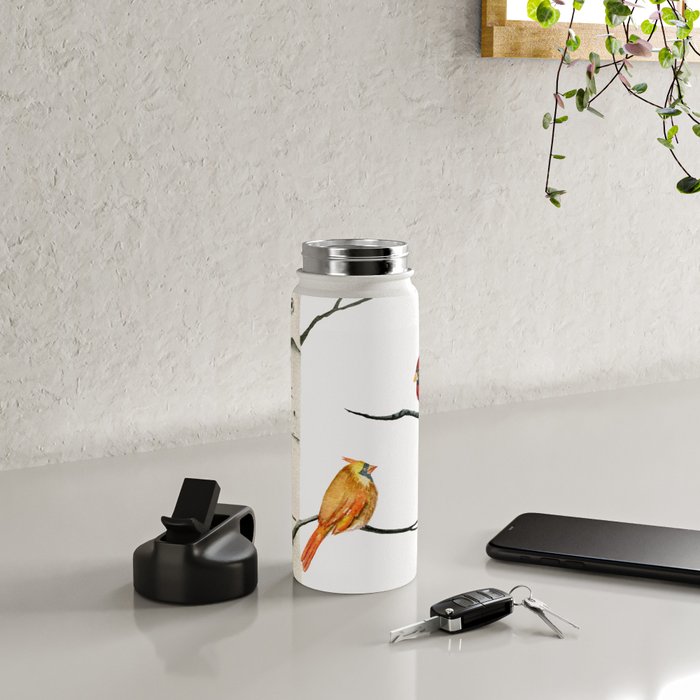 Cardinal Couple in Birch Trees Water Bottle Gallery Image 4