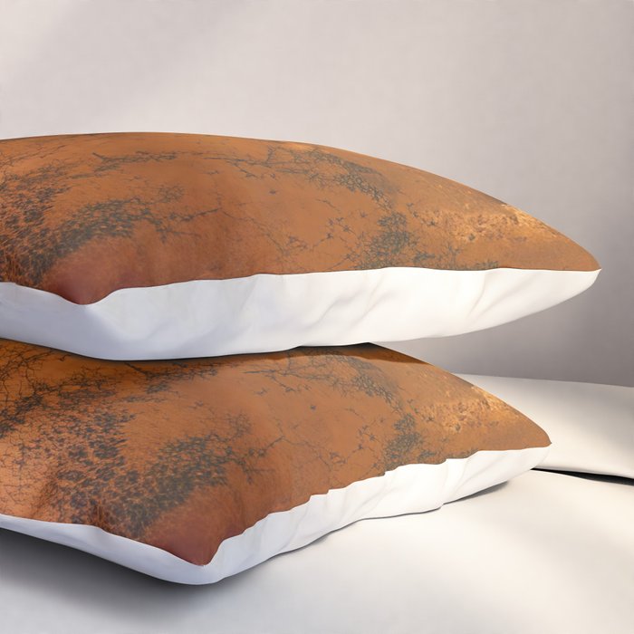 Aesthetic Rust Copper Japandi Art Pillow Sham Gallery Image 3