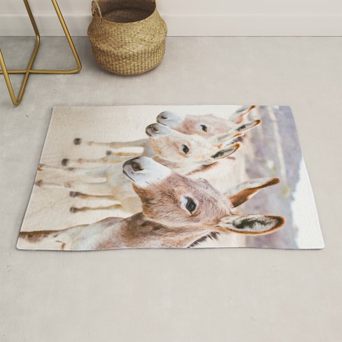 Three Donkeys in Baja, Mexico Rug Gallery Image 1