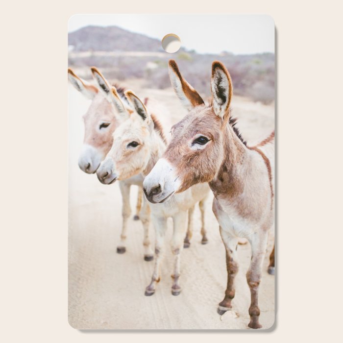 Three Donkeys in Baja, Mexico Cutting Board Gallery Image 1