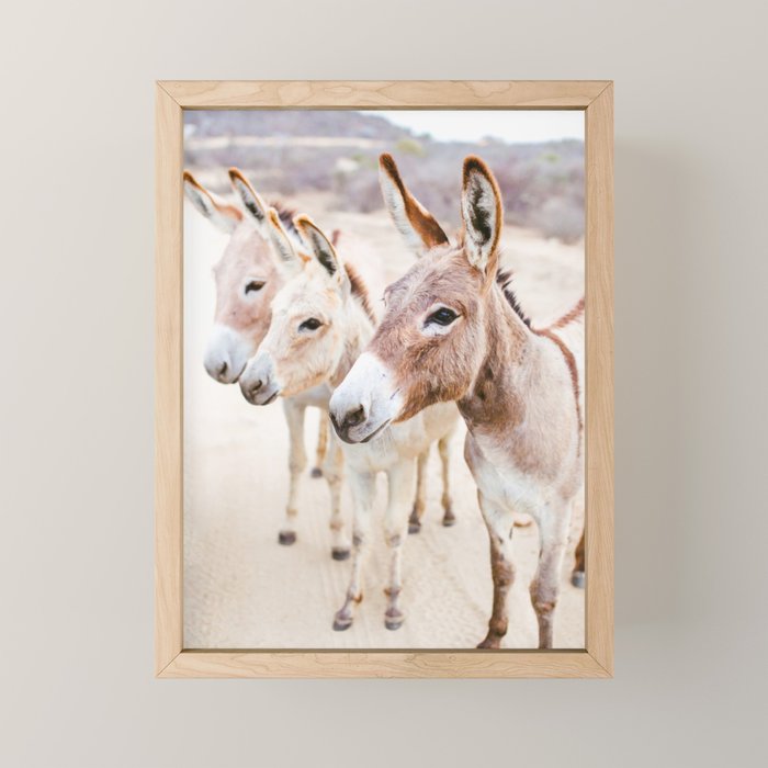 Three Donkeys in Baja, Mexico Mini Art Print Gallery Image 1