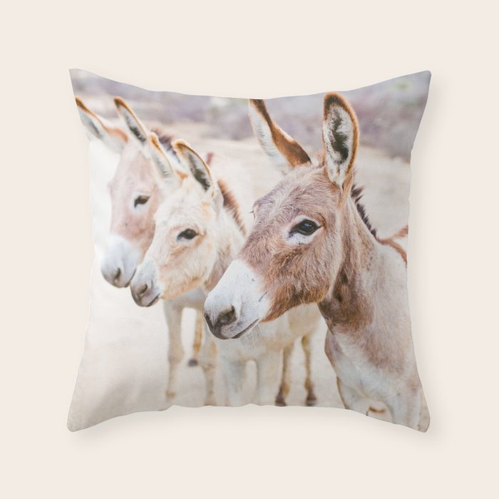 Three Donkeys in Baja, Mexico Throw Pillow