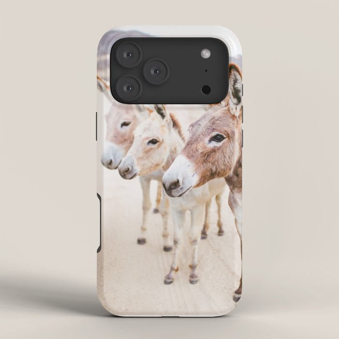 Three Donkeys in Baja, Mexico iPhone Case Gallery Image 4