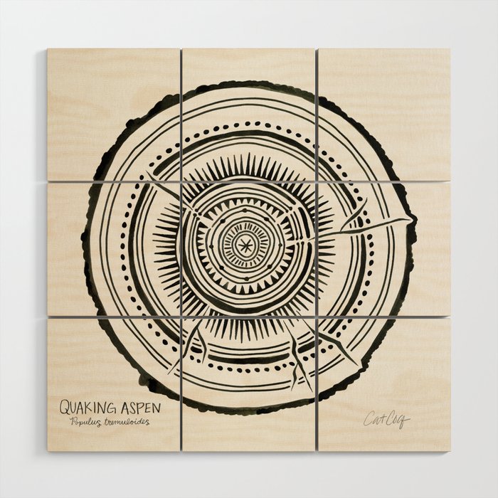 Quaking Aspen - Black Tree Rings Wood Wall Art Gallery Image 1