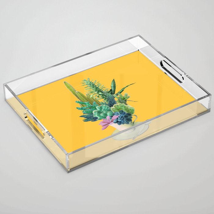Arid garden Acrylic Tray Gallery Image 1