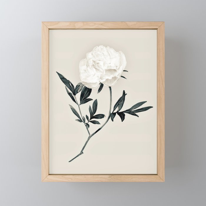 White Rose  Mini Art Print Gallery Image 1