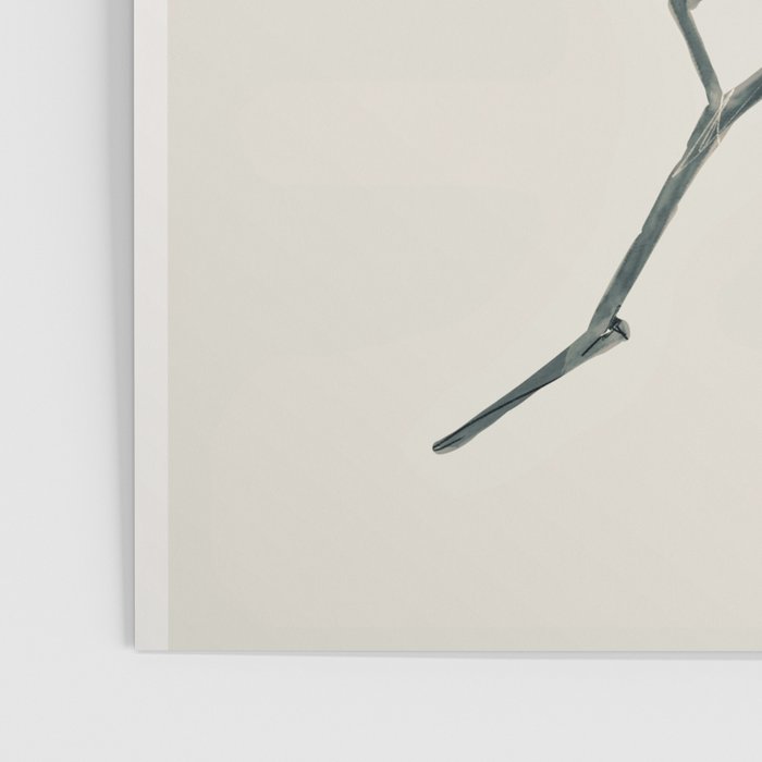 White Rose  Poster Gallery Image 3