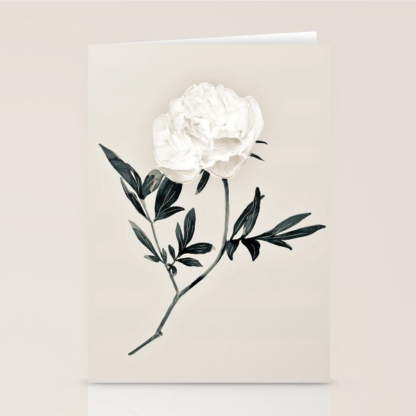 White Rose  Stationery Card Gallery Image 2