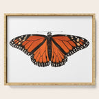 Monarch (Danaus plexippus) Serving Tray Gallery Image 1