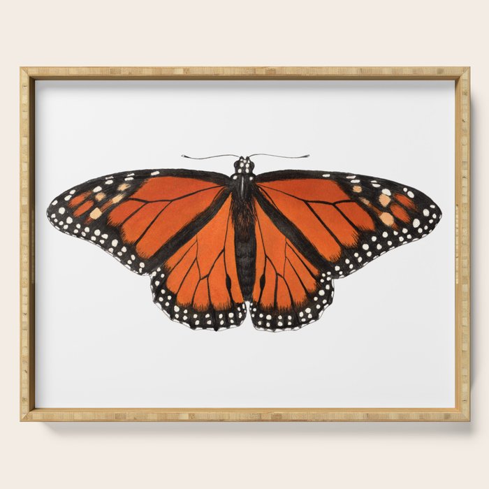 Monarch (Danaus plexippus) Serving Tray Gallery Image 1