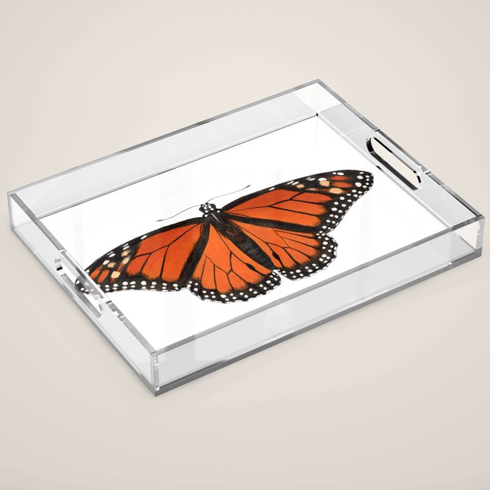 Monarch (Danaus plexippus) Acrylic Tray Gallery Image 1