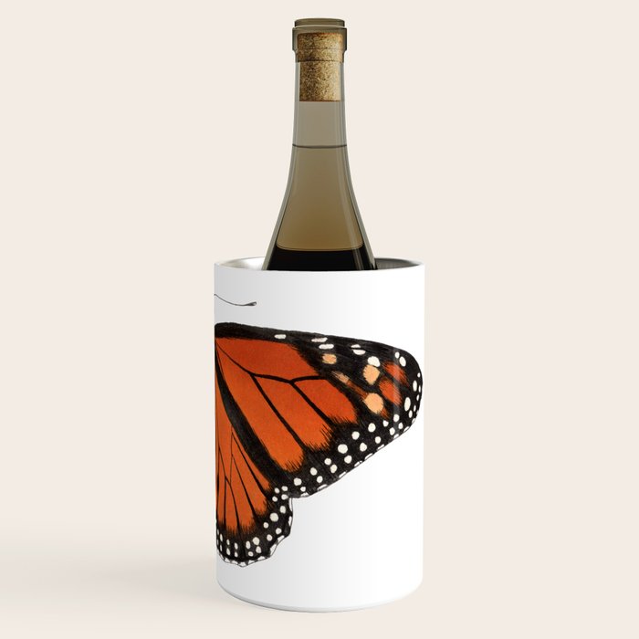 Monarch (Danaus plexippus) Wine Chiller Gallery Image 3