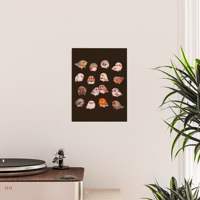 Zebra finch - dark Poster Gallery Image 2