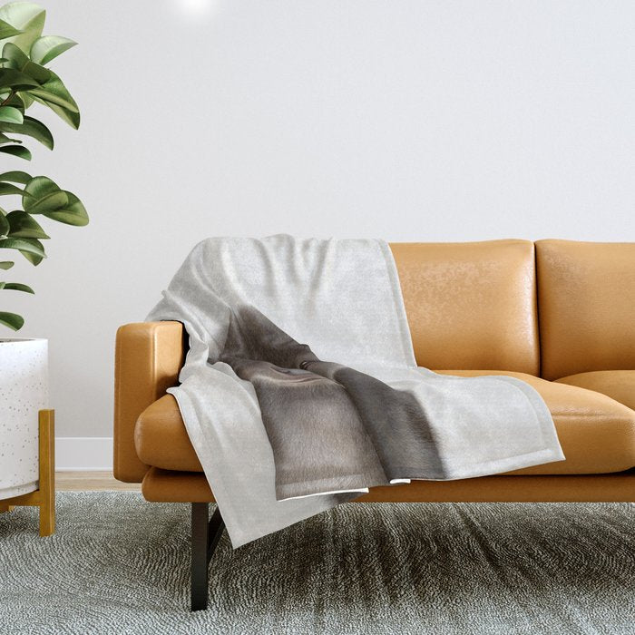Baby Otter Throw Blanket Gallery Image 1
