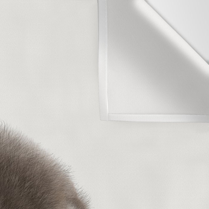 Baby Otter Wall Tapestry Gallery Image 3
