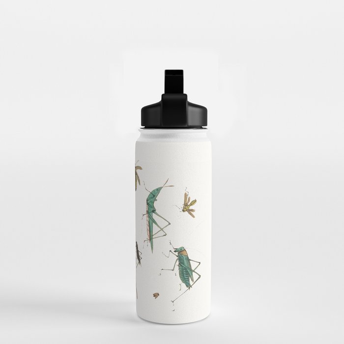 Insects frogs and a snail Water Bottle Gallery Image 2