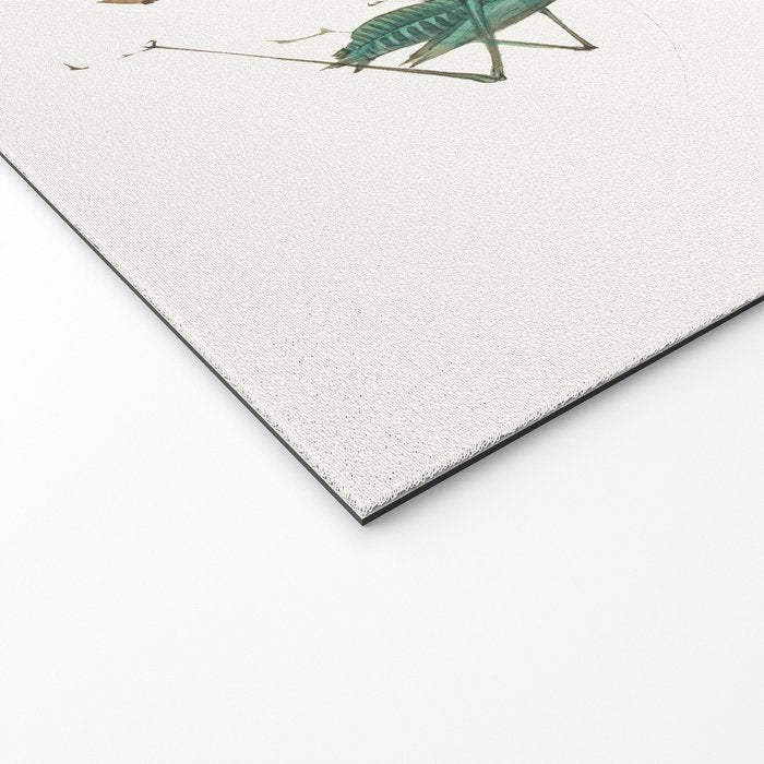 Insects frogs and a snail Welcome Mat Gallery Image 2