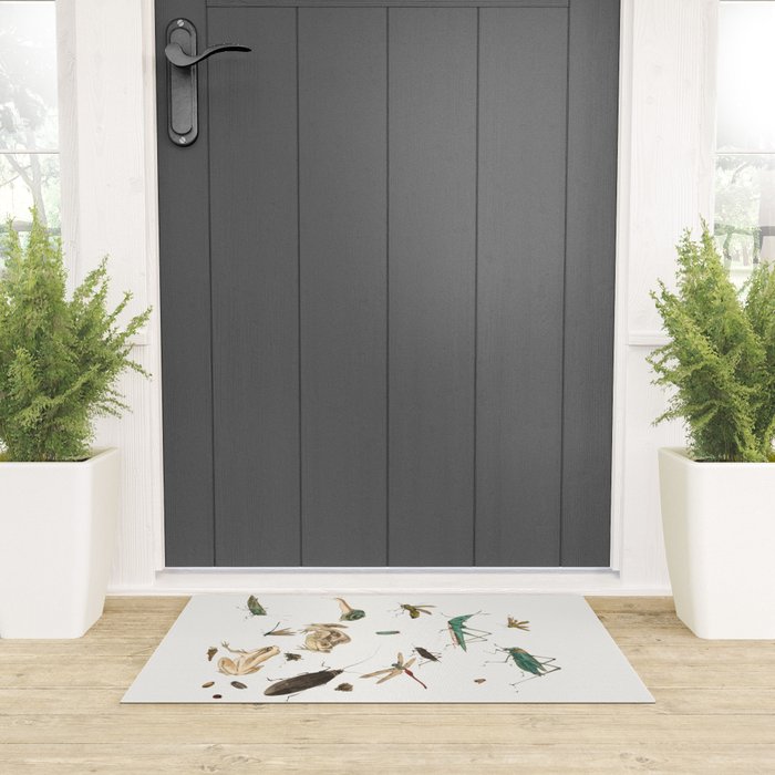 Insects frogs and a snail Welcome Mat Gallery Image 3