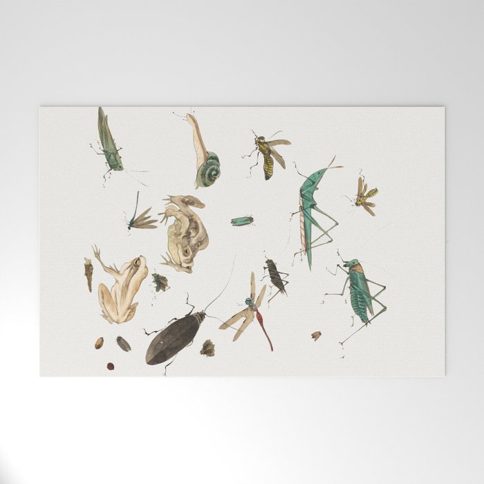 Insects frogs and a snail Welcome Mat Gallery Image 1
