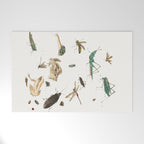 Insects frogs and a snail Welcome Mat Gallery Image 1