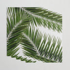 Palm Leaf III Wrapping Paper Gallery Image 3