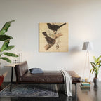Blackbird by John and Elizabeth Gould, 1837 (benefitting The Audubon Society) Wood Wall Art Gallery Image 2