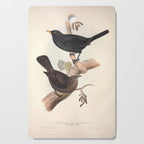 Blackbird by John and Elizabeth Gould, 1837 (benefitting The Audubon Society) Cutting Board Gallery Image 1