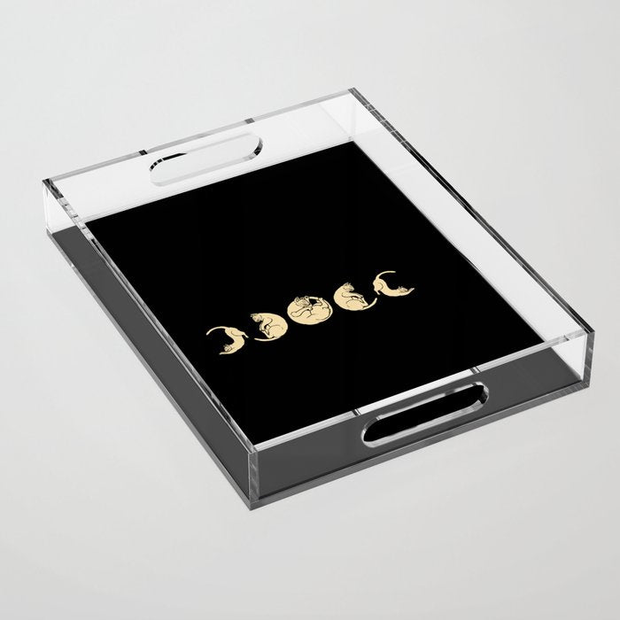 Meowphases Acrylic Tray Gallery Image 1