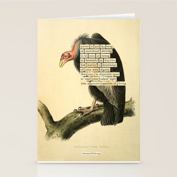 Vulture Divination from # An Almanac of Birds # Divinations for Uncertain Days Stationery Card Gallery Image 2