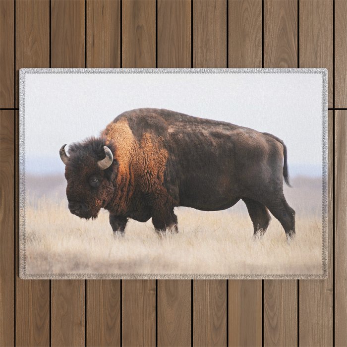 Bison Whisper Outdoor Rug Gallery Image 1