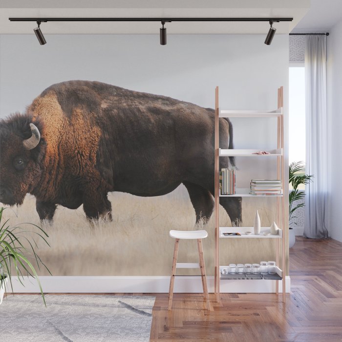 Bison Whisper Wall Mural Gallery Image 1