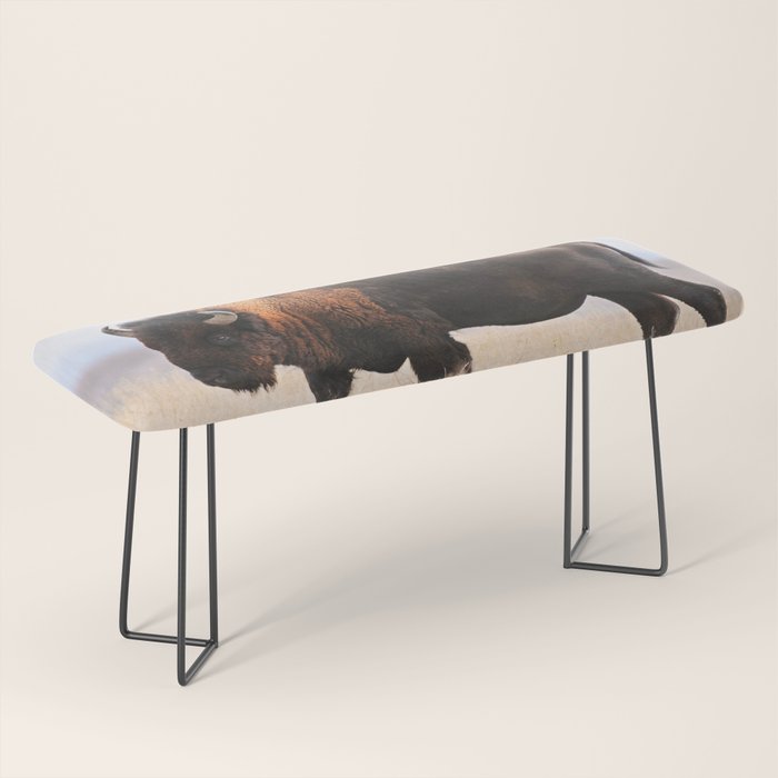 Bison Whisper Bench Gallery Image 1