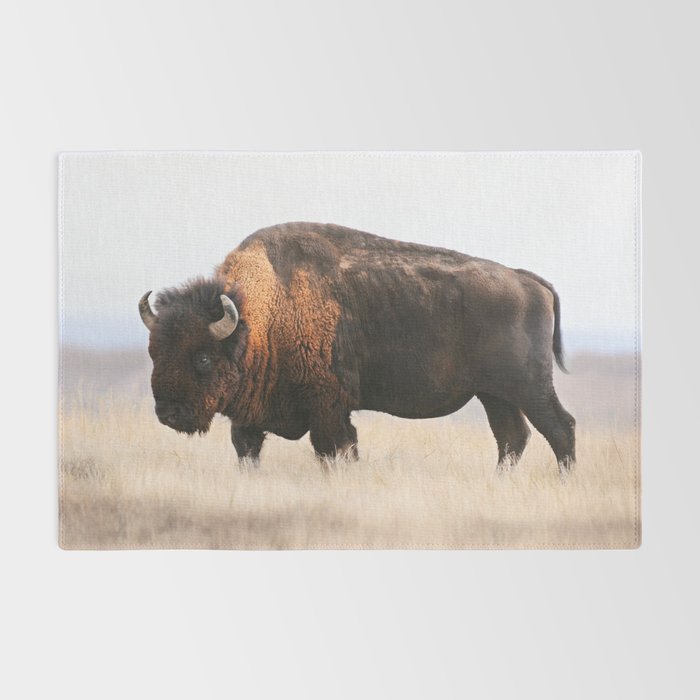 Bison Whisper Rug Gallery Image 2