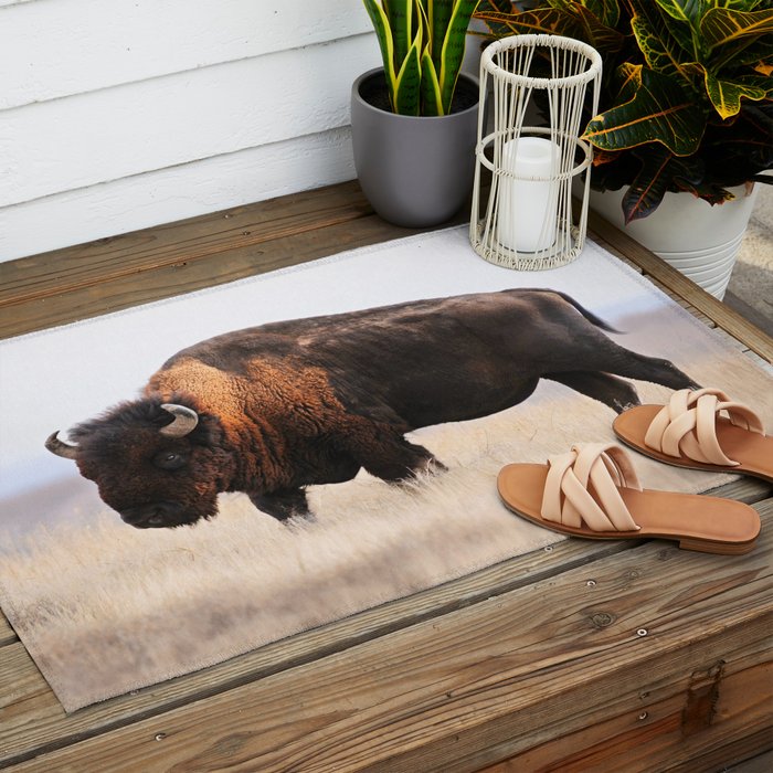 Bison Whisper Outdoor Rug Gallery Image 2